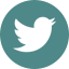 Share on twitter